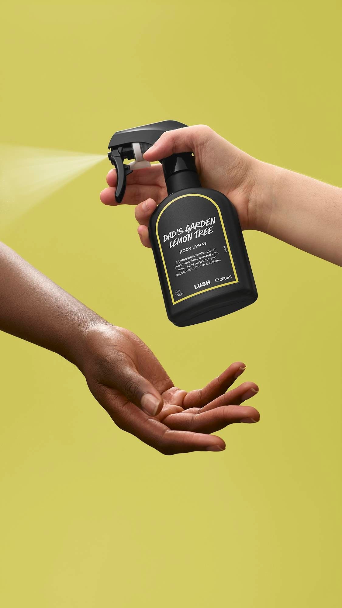 Dad's Garden Lemon Tree